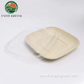 Disposable Biodegrade Bagasse Sugarcane Bento Plate